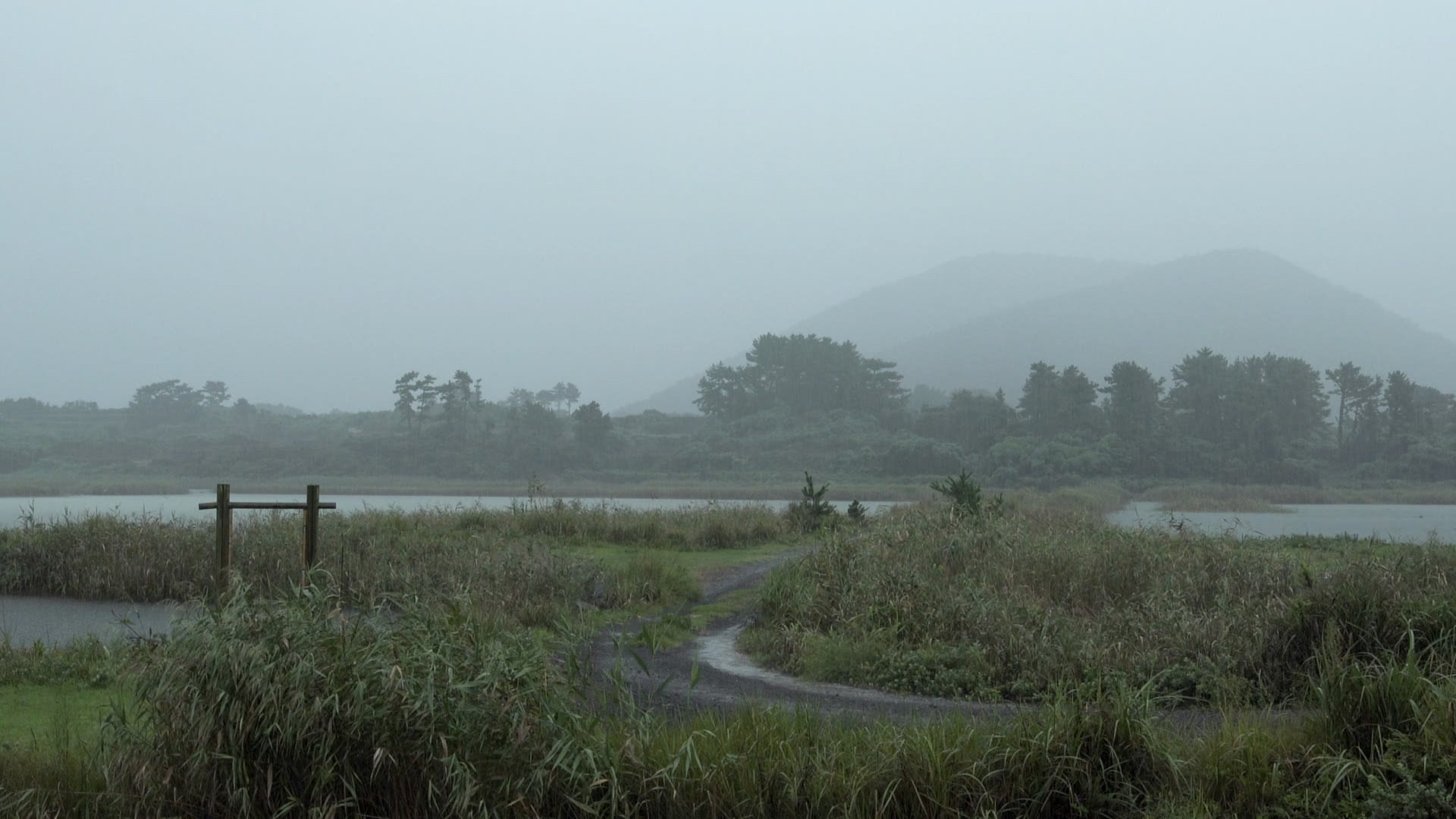 본편