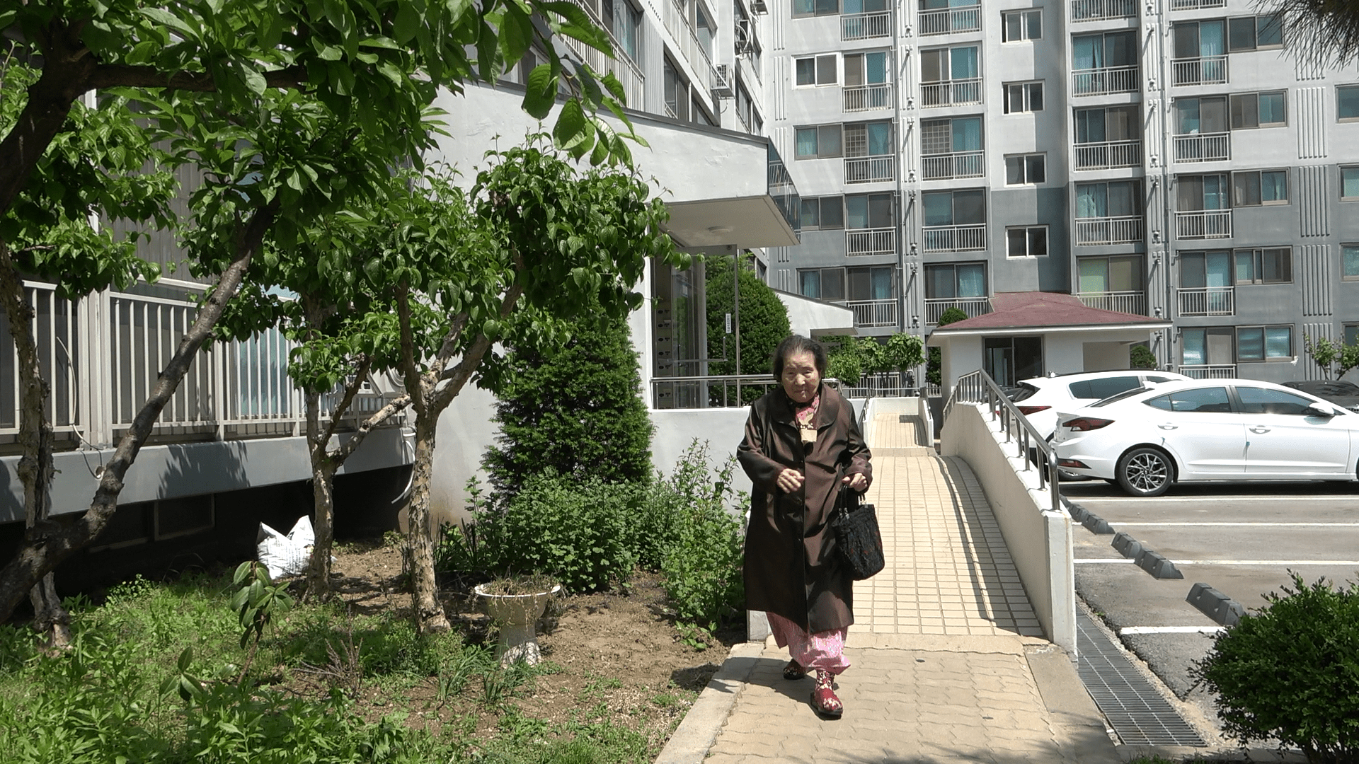 본편